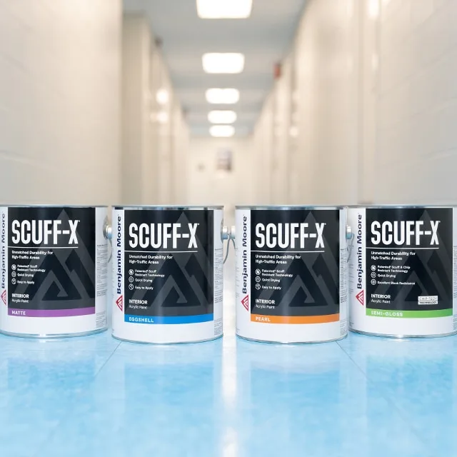 cabinet paint systems