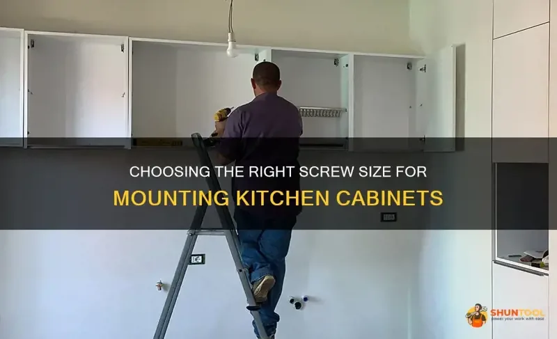 how much weight can kitchen cabinets hold