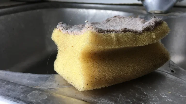 how to clean a kitchen sponge