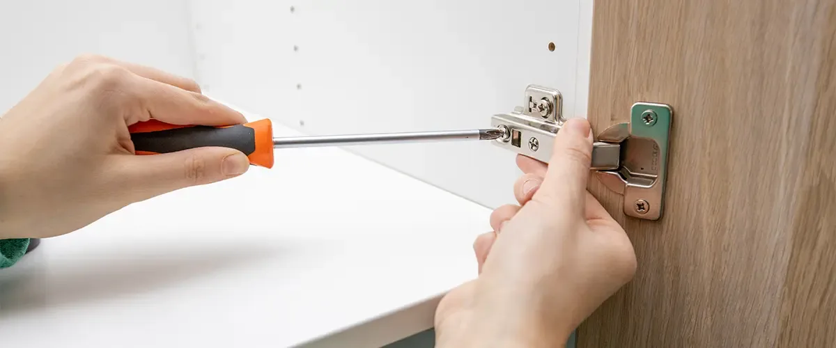screwdriver adjusting hinge